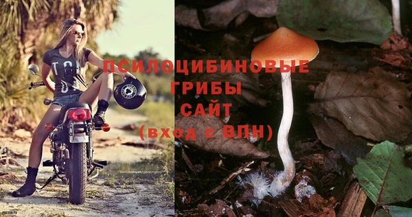 амф Болохово
